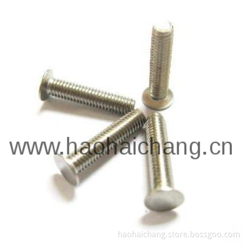 OEM Precision Customized SS Screw Nails